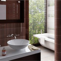 Bathroom Design Ideas
