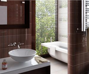Bathroom Design Ideas