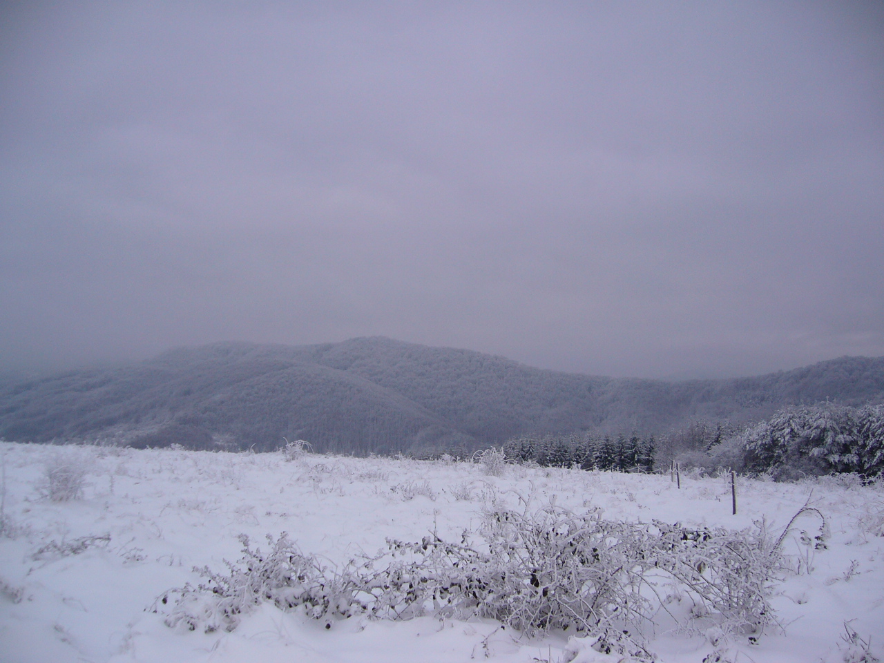 A PERSPECTIVE PIECE OF LAND 4800 sq. m. FOR SALE 8km FROM GABROVO 500m FROM HOTEL 