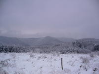 A PERSPECTIVE PIECE OF LAND 4800 sq. m. FOR SALE 8km FROM GABROVO 500m FROM HOTEL 