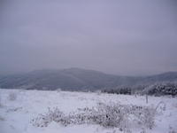 A PERSPECTIVE PIECE OF LAND 3499 sq. m. FOR SALE 8km FROM GABROVO 500m FROM HOTEL 