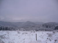 A PERSPECTIVE PIECE OF LAND 2800sq m FOR SALE 8km FROM GABROVO 500m FROM HOTEL 