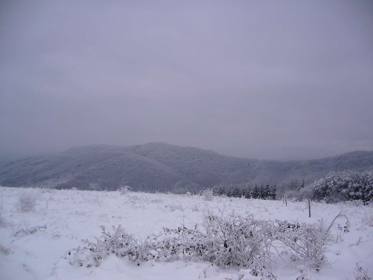 A PERSPECTIVE PIECE OF LAND 3100sq m FOR SALE 8km FROM GABROVO 500m FROM HOTEL 