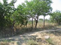 Yard in Rudnik, near Pomorie and Burgas