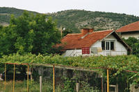 Country-village house in Binkos, 26 km from Sliven.