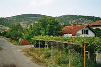 Country-village house in Binkos, 26 km from Sliven.