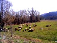 Preseltsi Panorama is a finished development of 3 family houses in Priseltsi village, Bulgaria