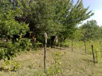 Plot of land for sale
