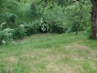 plot of land in the Balkan mountains