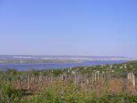 Land for sale near Varna