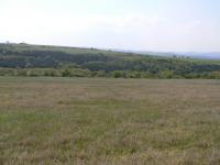 Land for sale near Varna