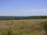 Plot near regulation at 3.5 E/m2, 20 km. away from Varna and 2800m. from the beach!