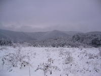 A PERSPECTIVE PIECE OF LAND 3100sq m FOR SALE 8km FROM GABROVO 500m FROM HOTEL 