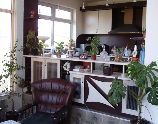 Нова европейска къща