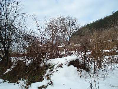 УПИ  в  Велико Търново