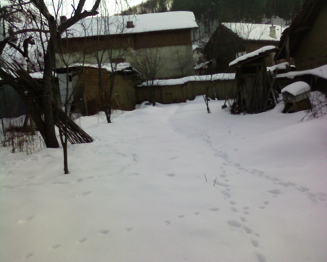 House near by Borovetc