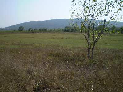 НУПИ  в  област Варна