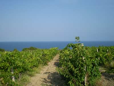 НУПИ  в  област Варна