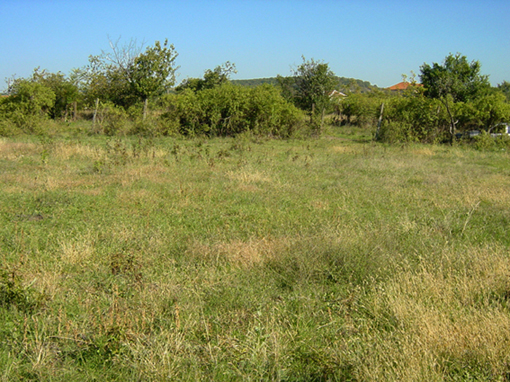 Село на 42  км от Черно море ,  до Странджа планина .