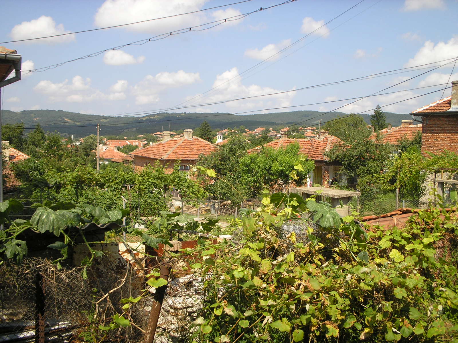 There is a forest in a close a proximity to it with a picturesque panorama .