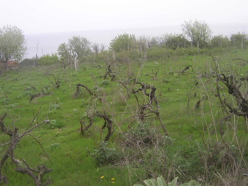 Парцел гр. Балчик, в.з. 