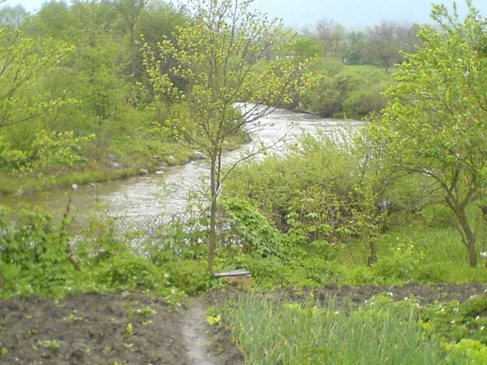 Продавам къща в село Чакали, общ. Елена