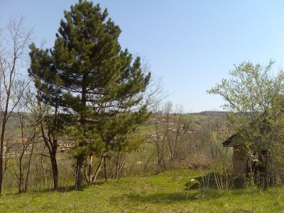 ЛОВЕН РЕЗЕРВАТ ВОДЕН е в непосредствена близост до имота-къща100кв.м, акт14 и ксив парк на 2 ниварасив парк на 2 нива-1800кв.м.