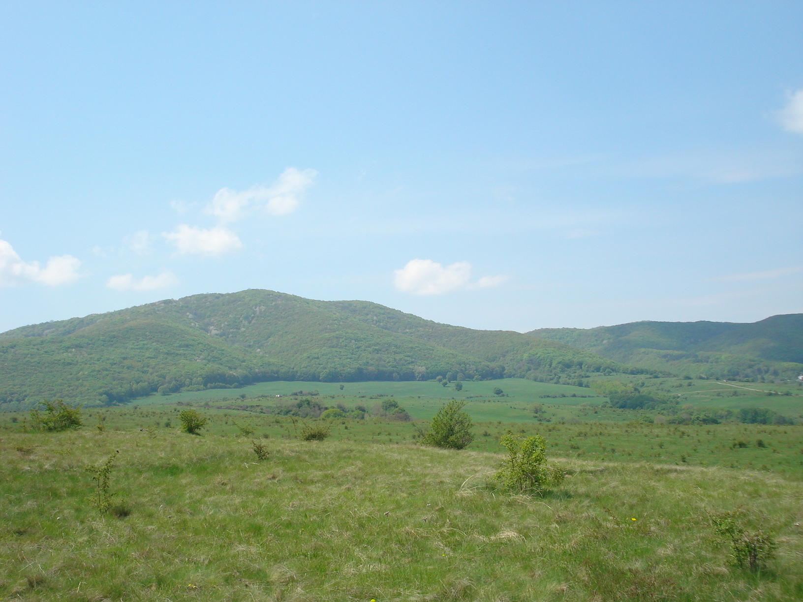 Парцел Мало Бучино