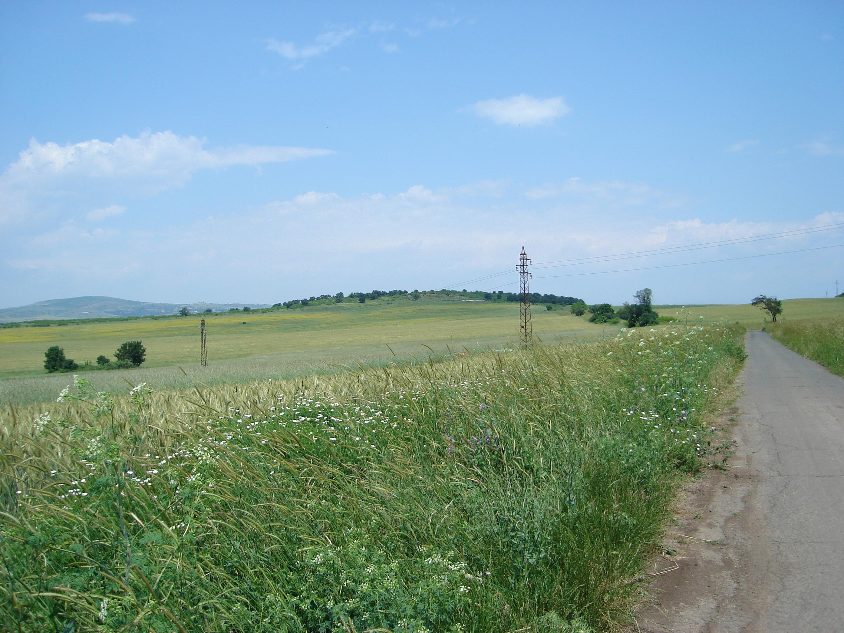 Земеделска земя (10 декара)гр.Бургас с.Димчево