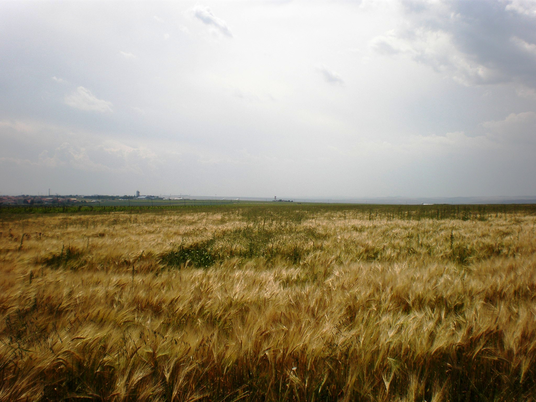 парцел в Поморие с панорама море