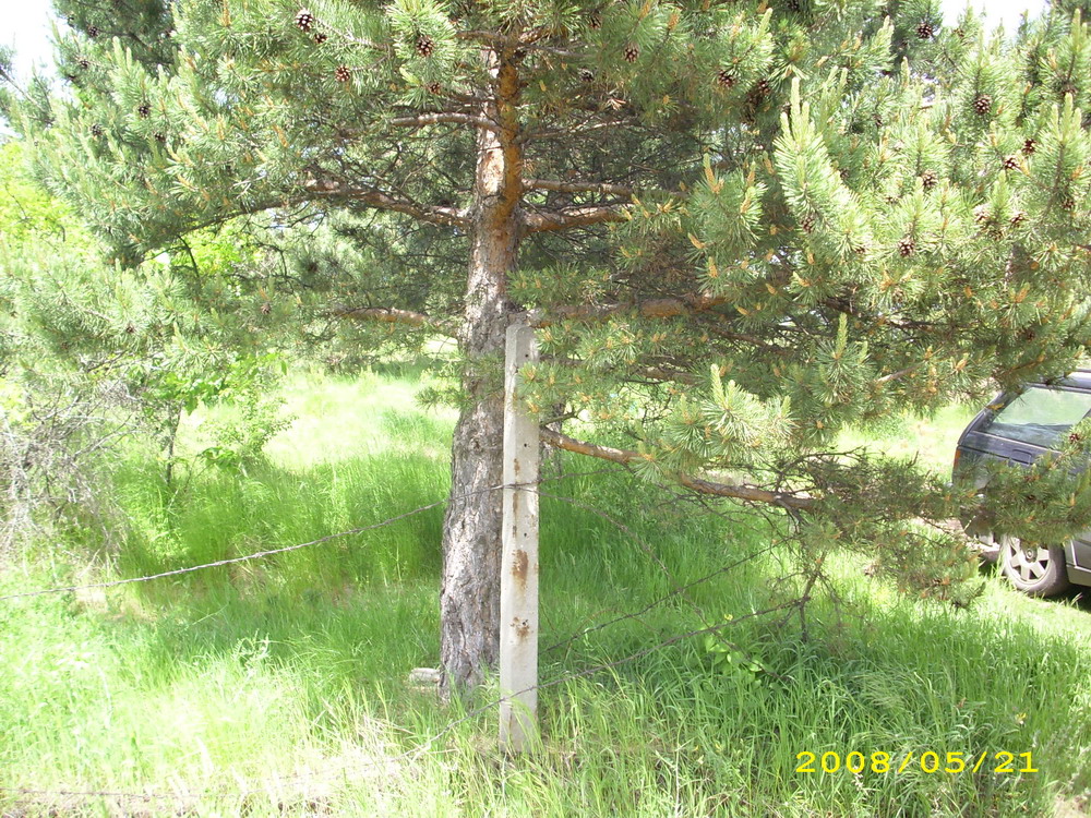 продава парцел - УПИ в с.Вакарел, в.з.Дренов рът