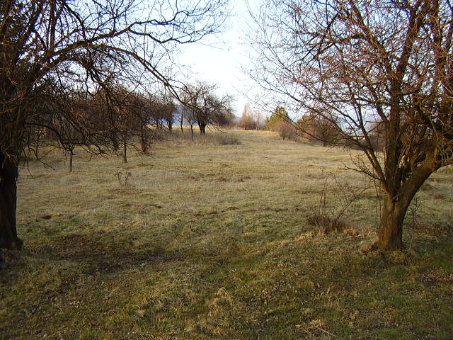 Парцел,София област,с.Чибаовци