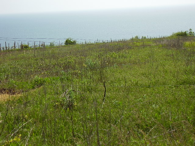 Парцел,гр.Бяла,Варненска област