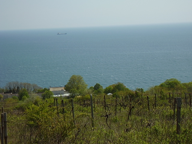 Парцел,гр.Бяла,Варненска област