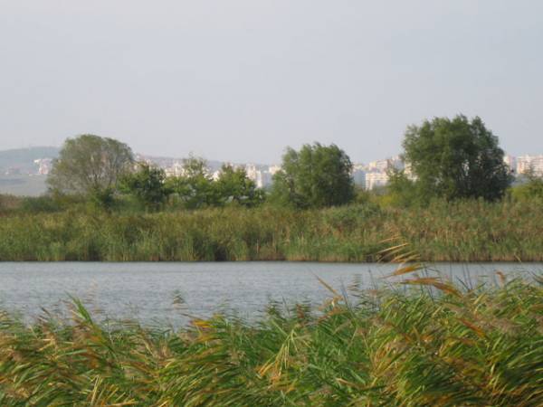 Land for sale near Bourgas lake of mandra from Bulgproperty