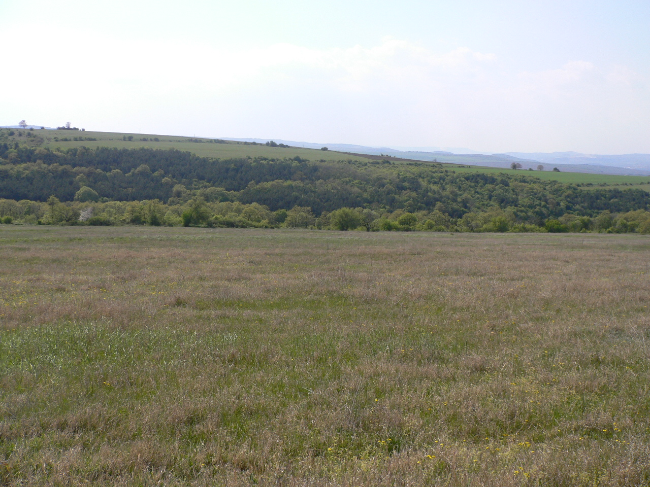 Land for sale near Varna