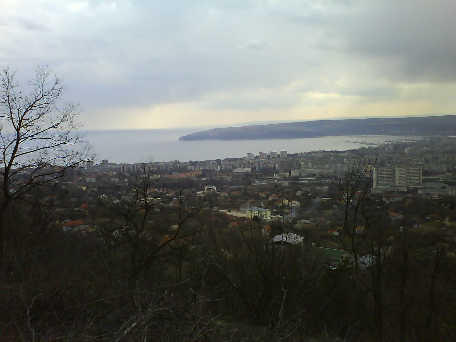 Залесен парцел в местност 