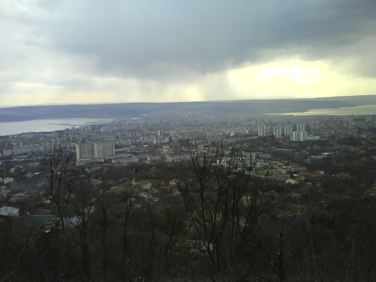 Залесен парцел в местност 