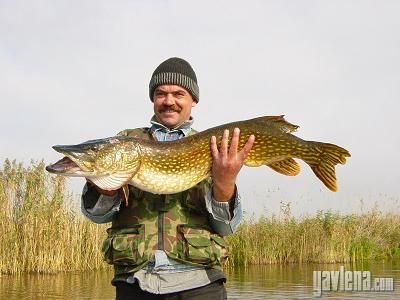 къща  в  Област плевен