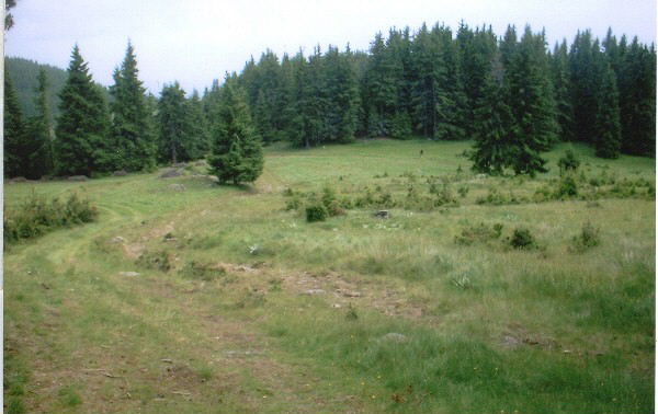 Парцел/УПИ в с. Кутела, м. Имарет дере, к.я Хайдушки поляни