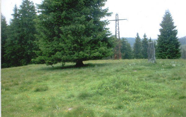 Парцел/УПИ в с. Кутела, м. Имарет дере, к.я Хайдушки поляни