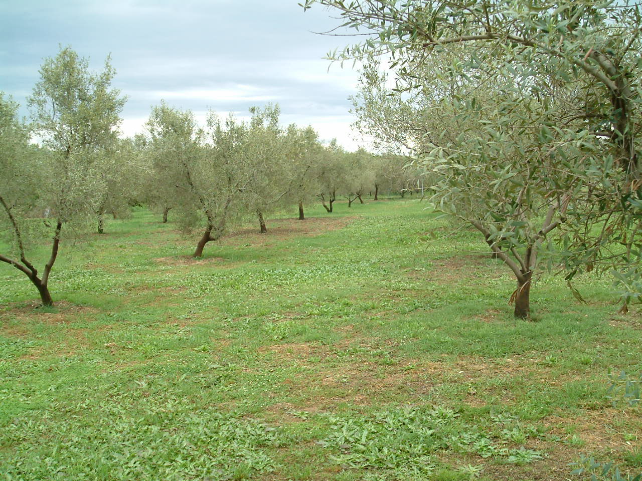 Продавам вила с парцел в Гърция обл.Ксанти, Авдира, Миродато 5100кв.м.