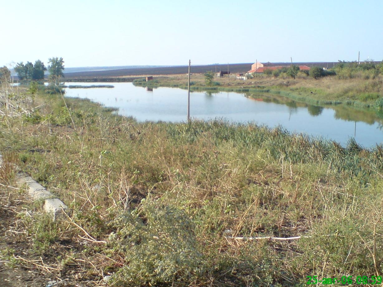 ПРОДАВАМ - ФЕРМА – за  615 бр-КРАВИ,  БИВОЛИ
