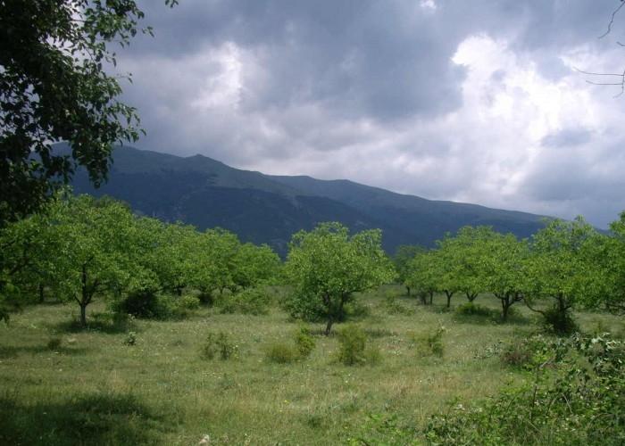 Land for sale near Karlovo