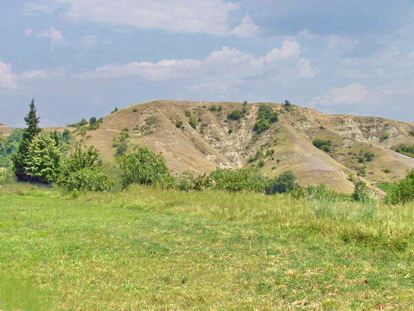 Парцел в Поленица
