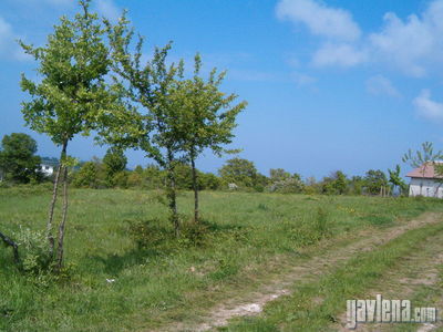 УПИ  в  Странджа планина