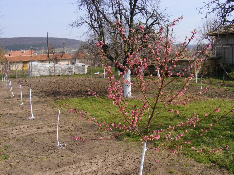 Продавам парцел