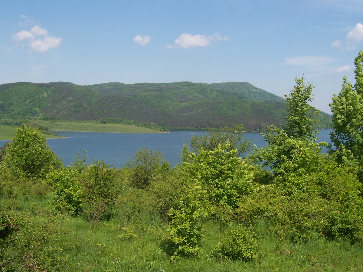 Продавам имот с.Шилковци,общ.Елена изгодно