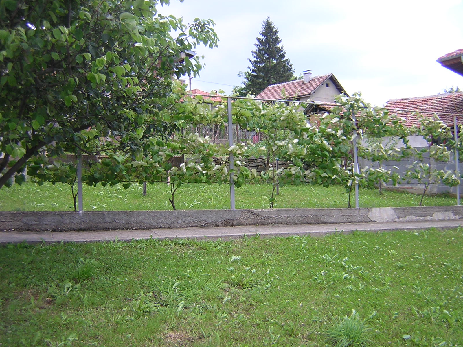 Къща с дворно място в Габровския балкан