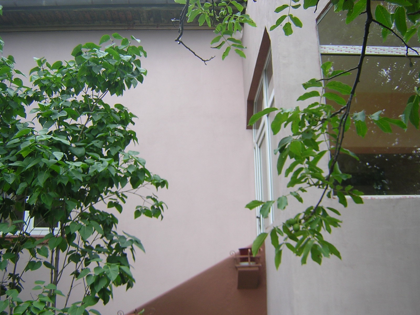 Дава се под наем компактна малка къща в кв. Княжево на ул. Прохлада.След основен ремонт.